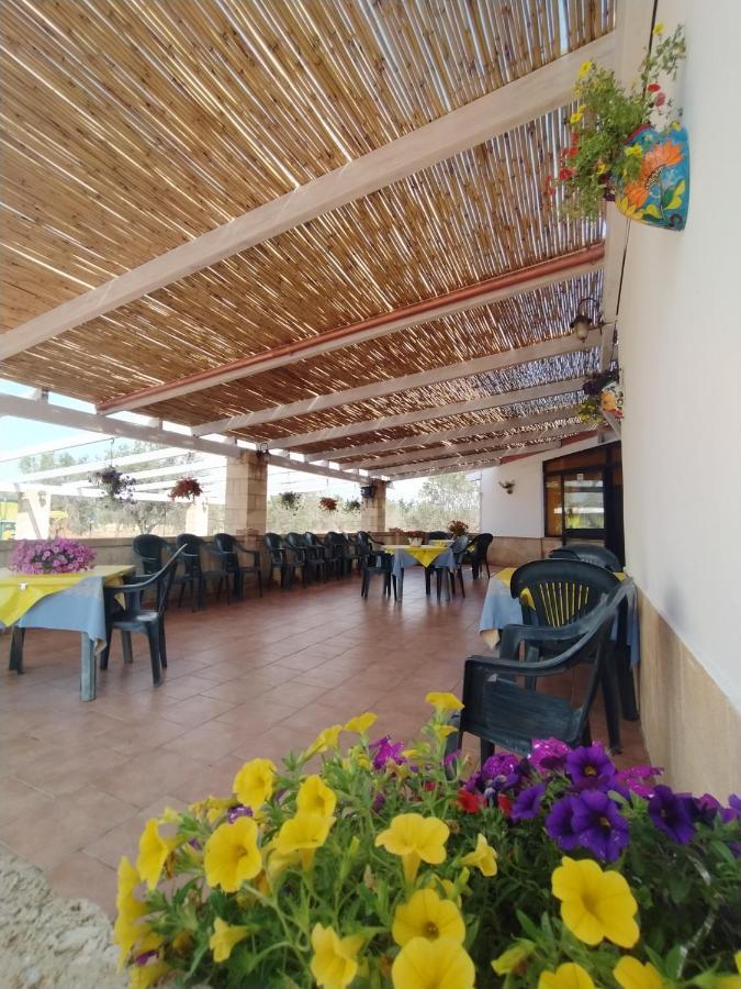 Agriturismo "Terra D'Ulivi" Порто Чезарео Екстериор снимка
