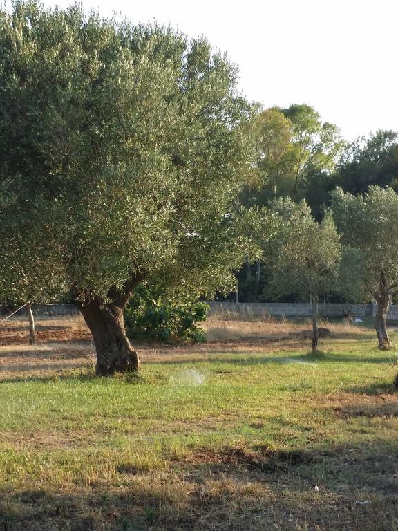 Agriturismo "Terra D'Ulivi" Порто Чезарео Екстериор снимка